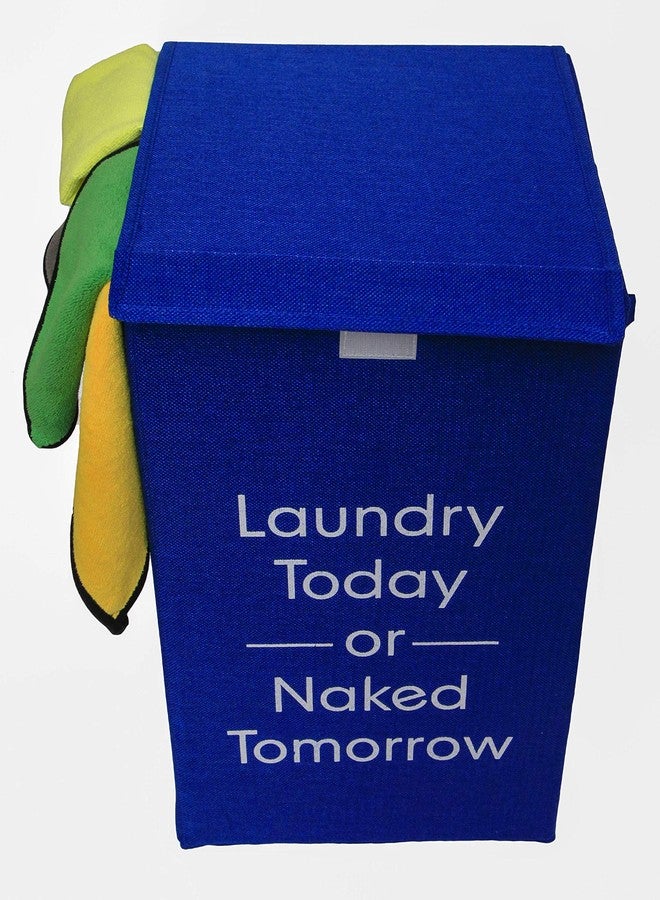 VRT Foldable European Pattern Rectangle Shape Laundry Box, Basket for Dirty Clothes, Laundry Hamper with Lid and Closure (Blue) - Image 2